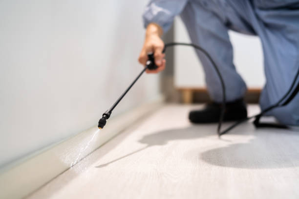 Licensed Termite Control service in University of Virginia, VA - Nex Pest Control
