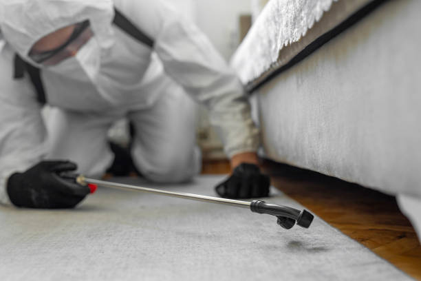 Professional Termite Control technician working in University of Virginia, VA