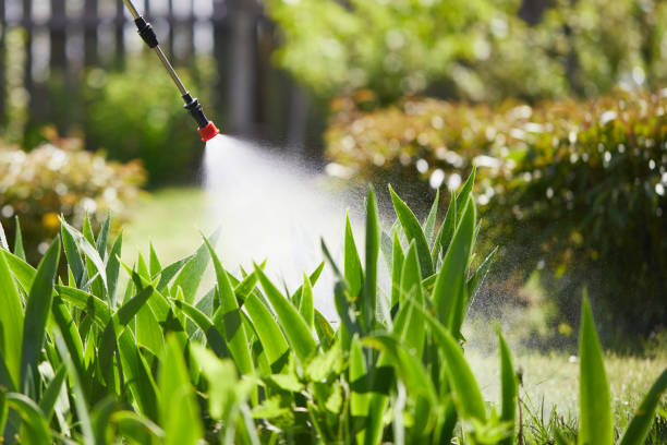 24/7 Emergency Termite Control experts in University of Virginia, VA