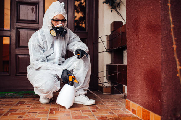 Reliable Termite Control contractor in University of Virginia, VA by Nex Pest Control