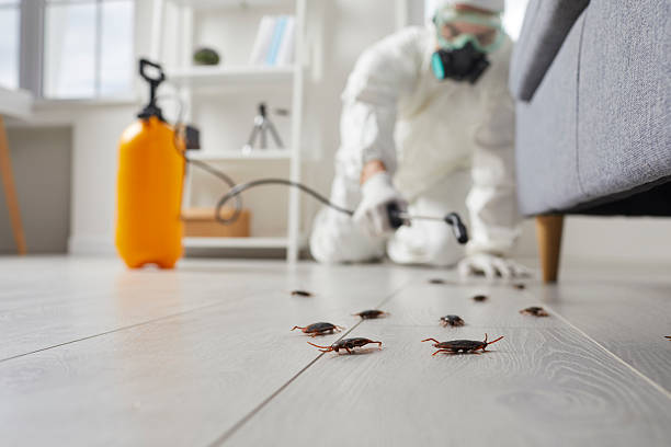 Trusted Mosquito Control service in University of Virginia, VA - Nex Pest Control