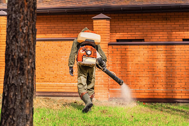 Trusted Emergency Pest Control service in University of Virginia, VA - Nex Pest Control